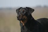 BEAUCERON 1017